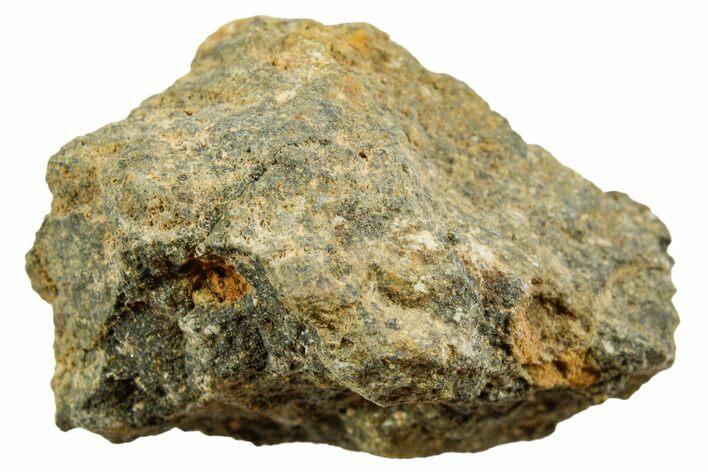 Howardite Meteorite ( g) - Bechar #348431